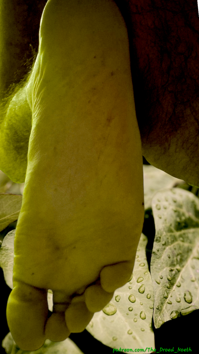 Orc cock/precum & feet PREVIEW #7B6ft5JL