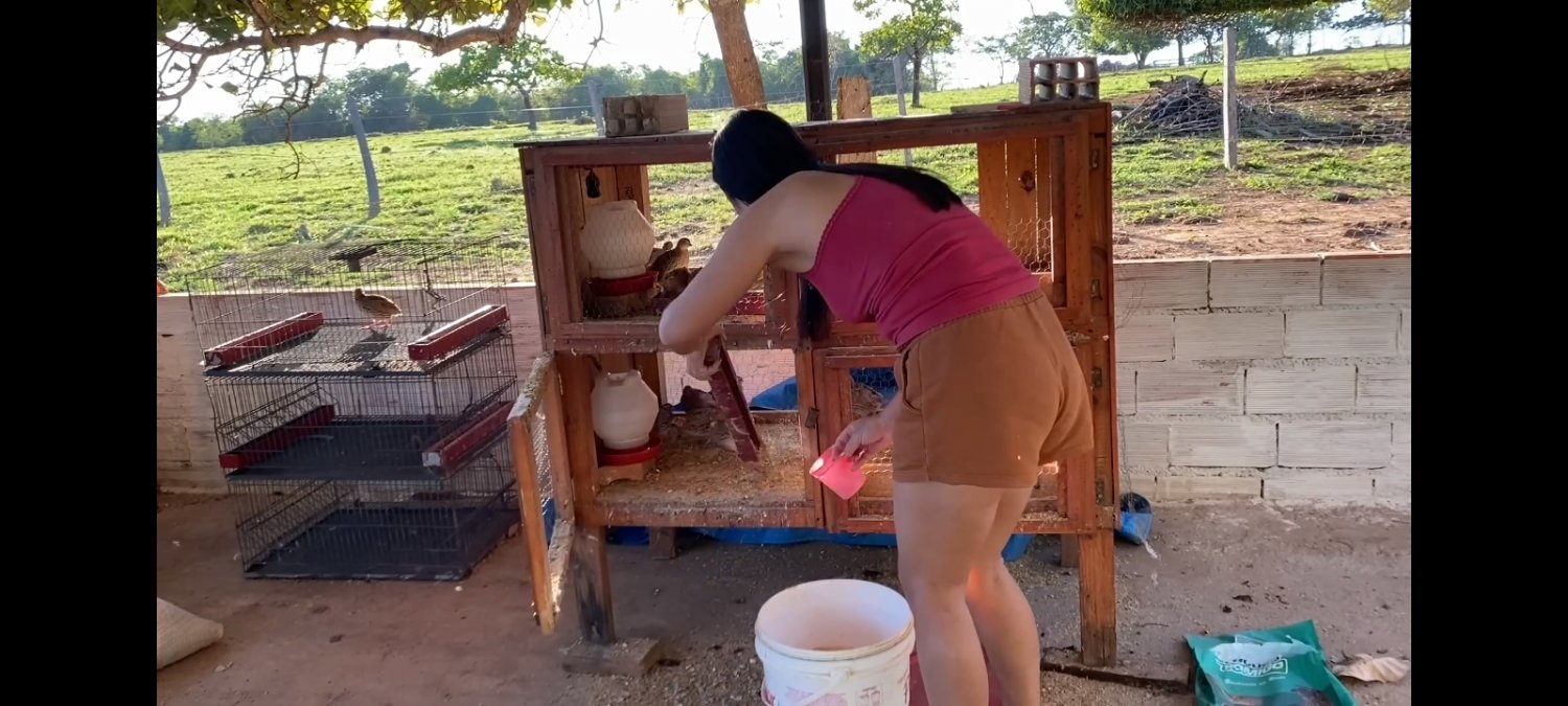 Esposa dona de casa naturalmente maravilhosa #1bZl6CrS