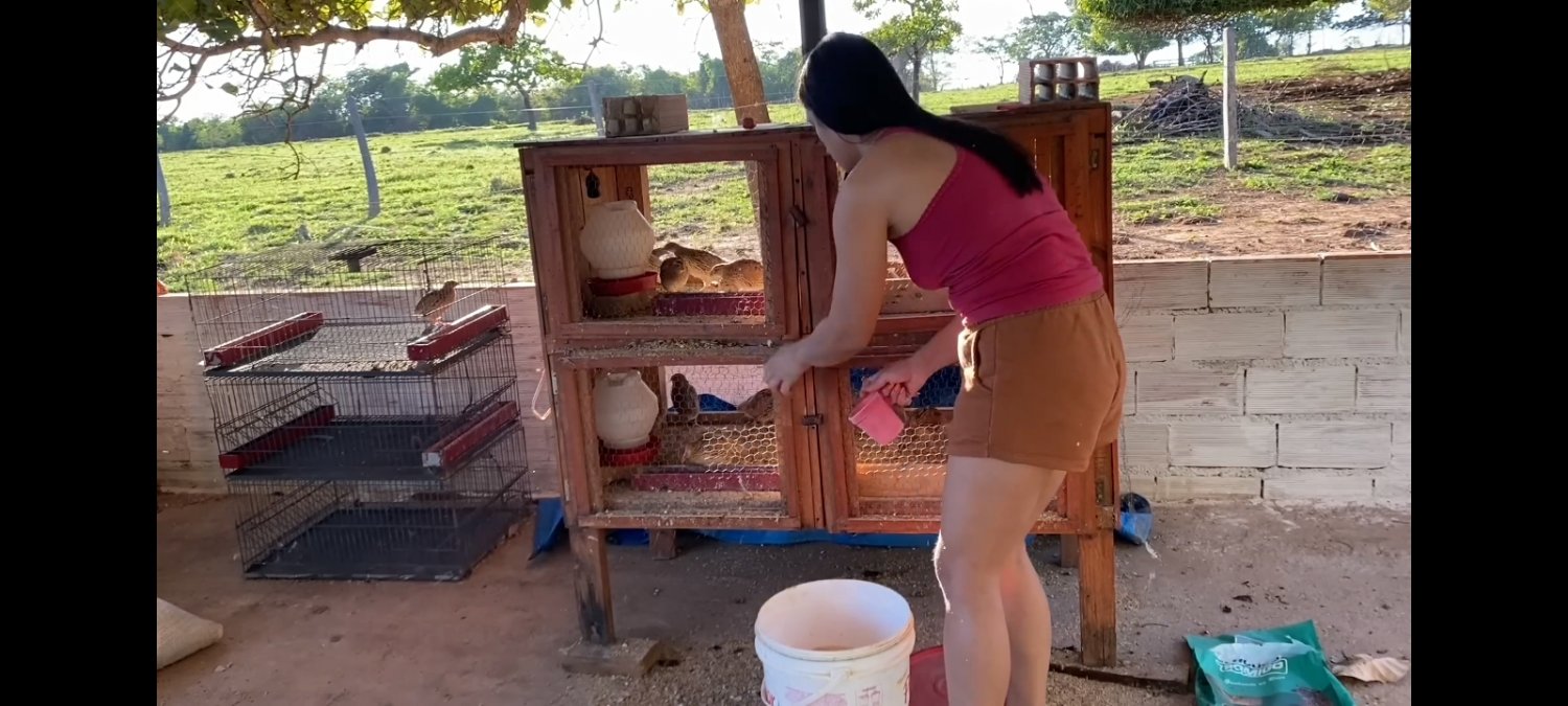 Esposa dona de casa naturalmente maravilhosa #WhczNFg7