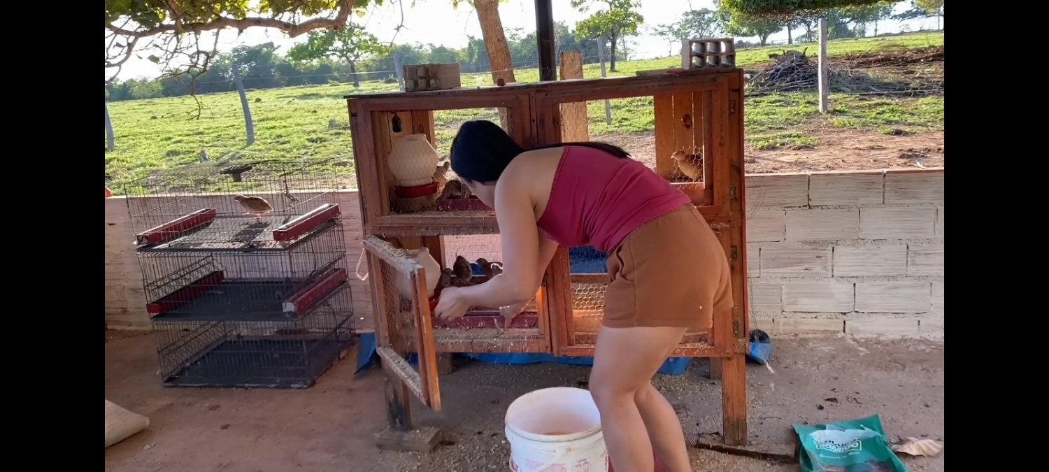 Esposa dona de casa naturalmente maravilhosa #qt1aWkBf